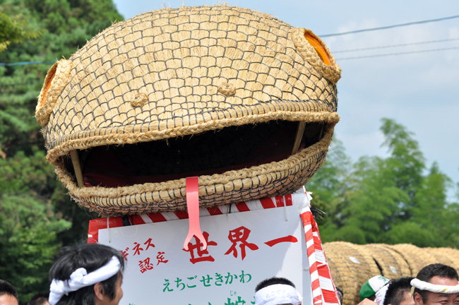 大したもん蛇祭り