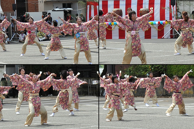 大したもん蛇祭り